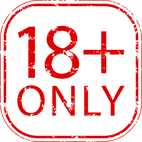Palmera1369